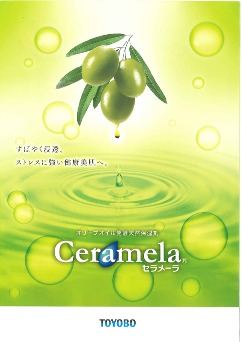 この企業の関連カタログの表紙