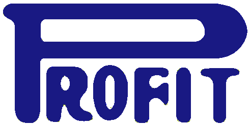 有限会社プロフィット