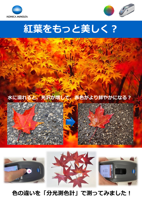 カタログの表紙