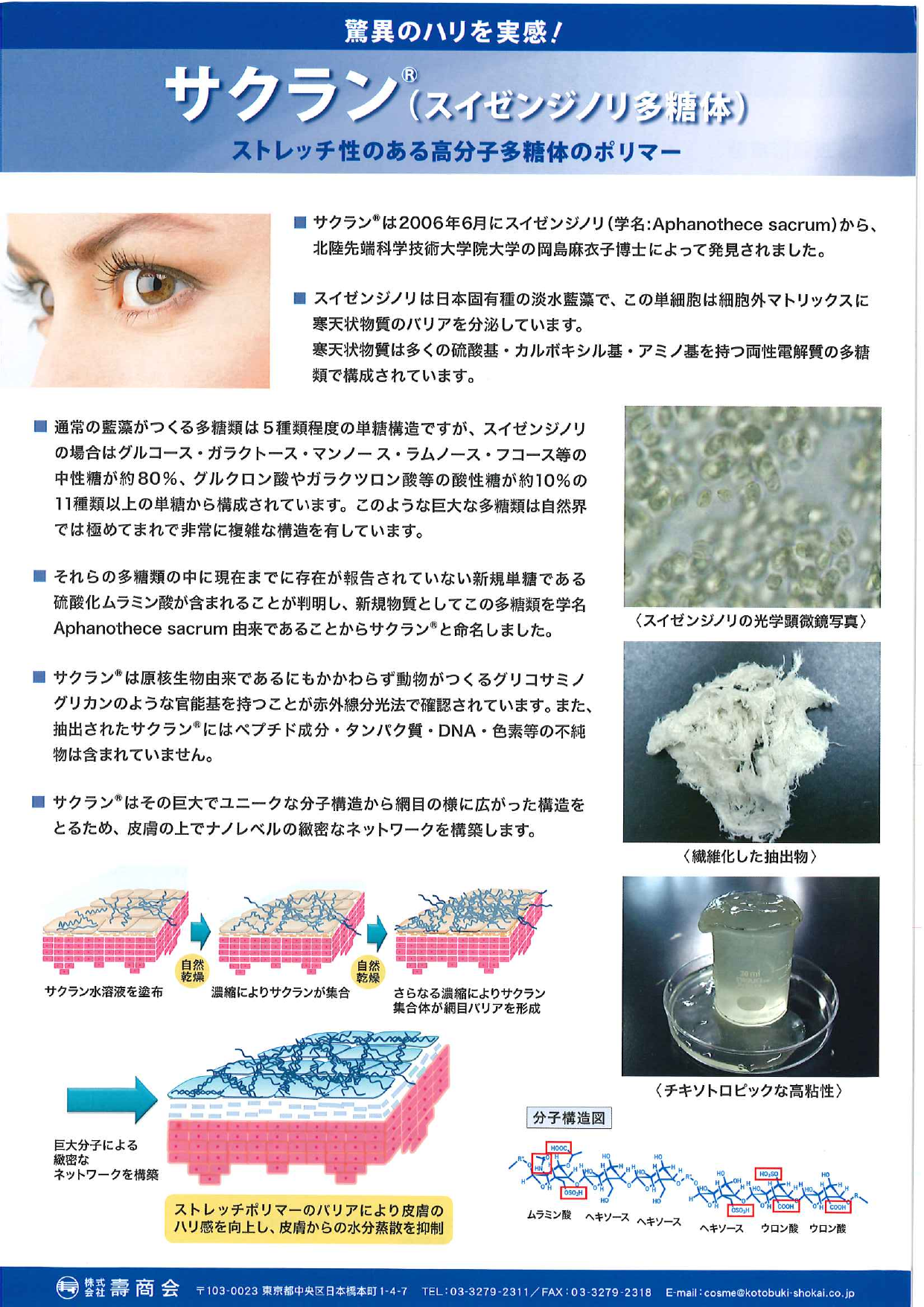 この企業の関連カタログの表紙