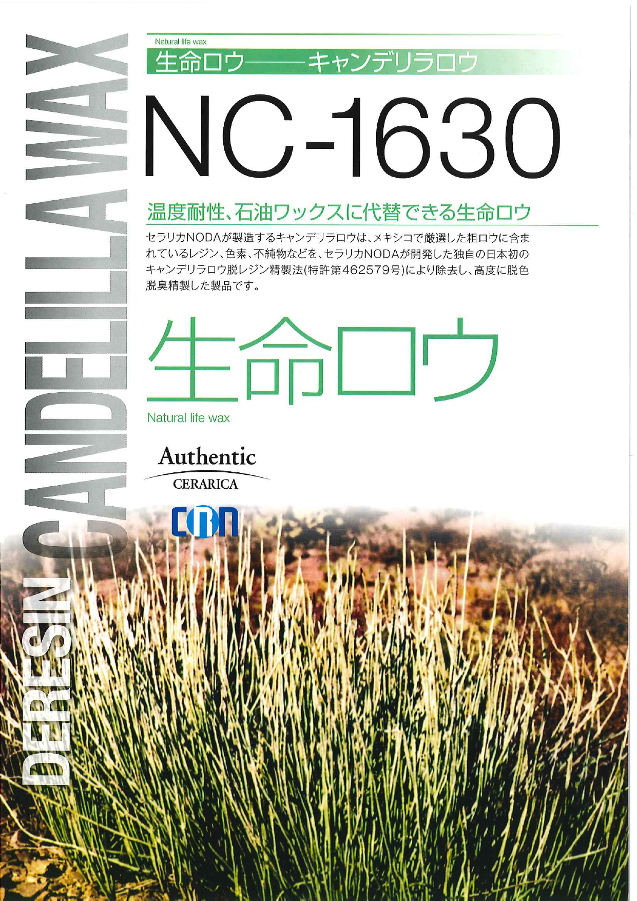 この企業の関連カタログの表紙