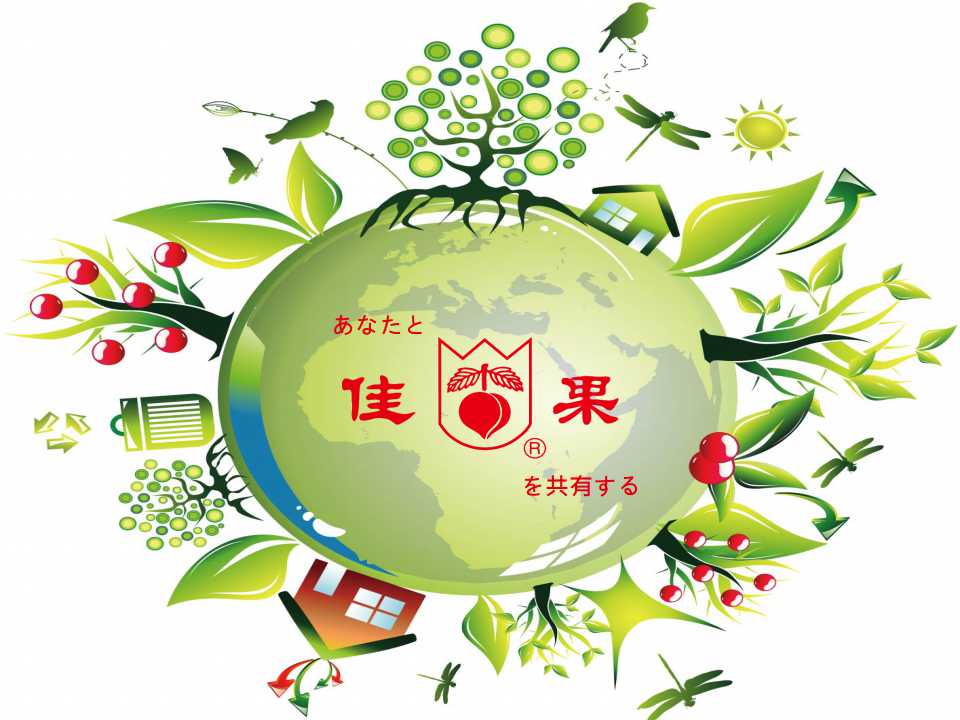 株式会社壯佳果