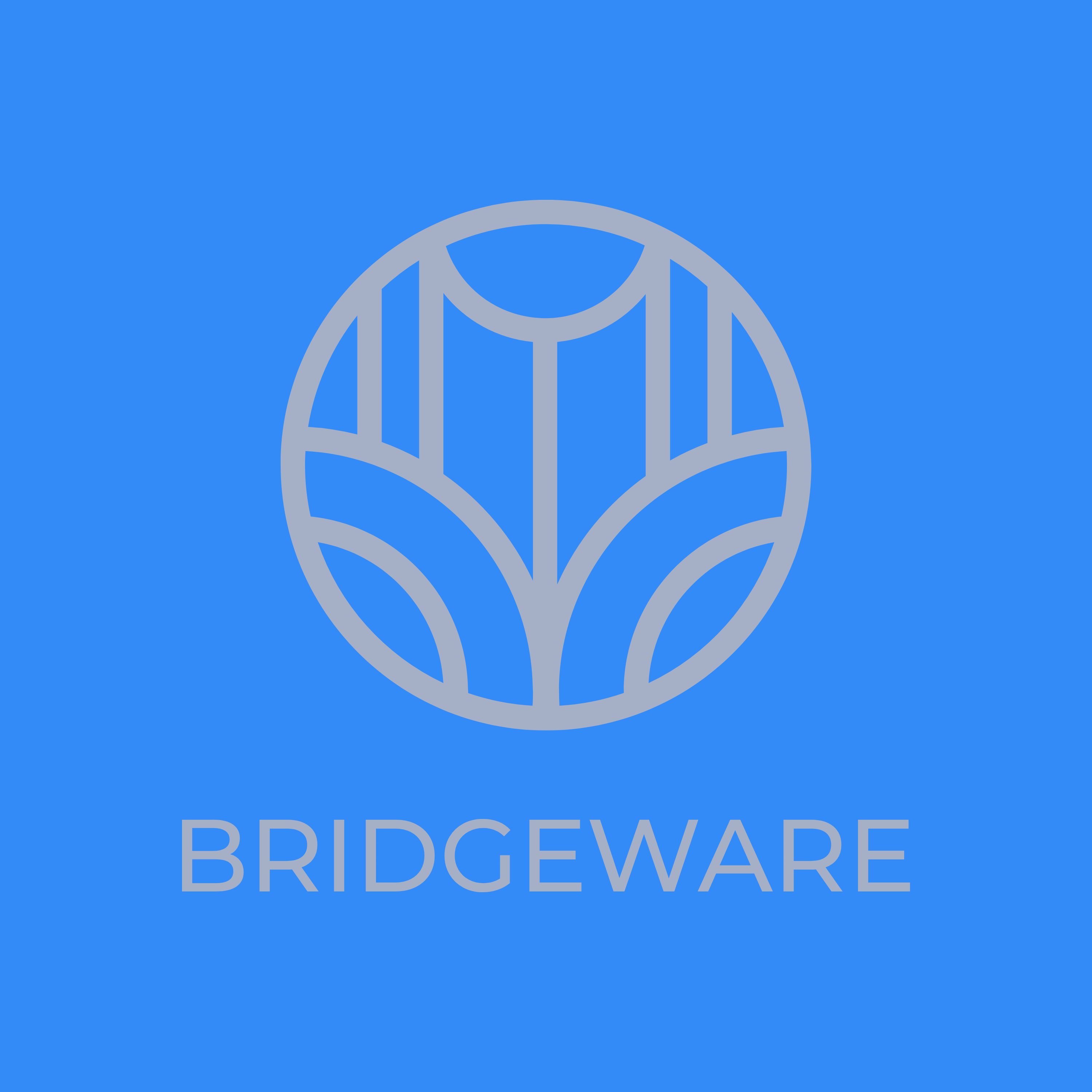 bridgeware Co.Ltd.