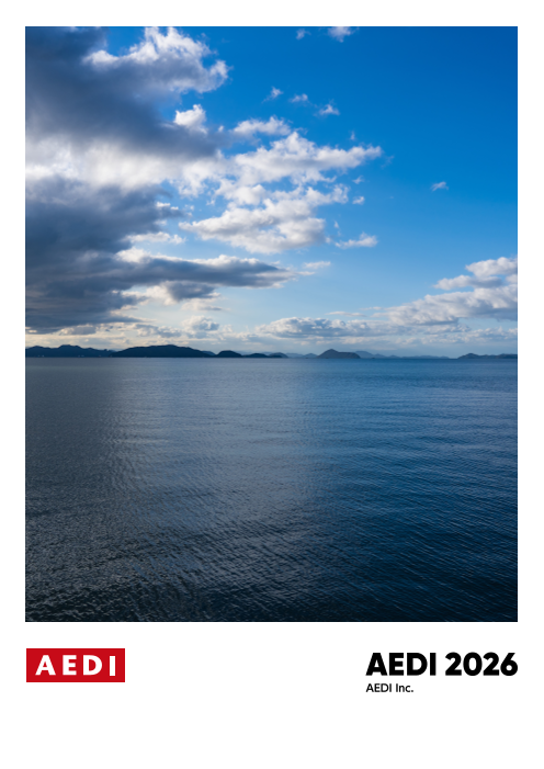 AEDI Inc. Company Brochure AEDI 2026