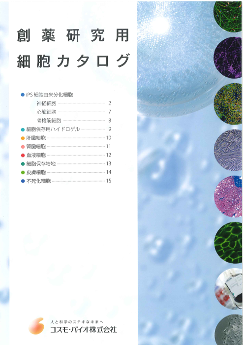 カタログの表紙