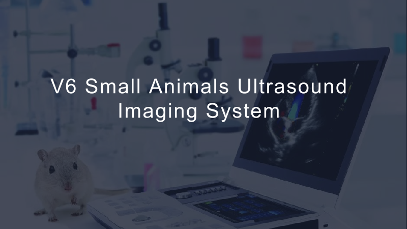 V6 Small Animals Ultrasound Imaging System